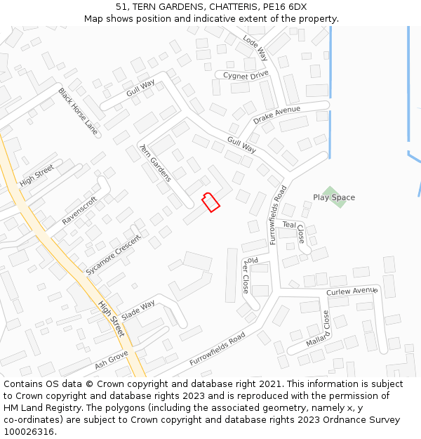 51, TERN GARDENS, CHATTERIS, PE16 6DX: Location map and indicative extent of plot