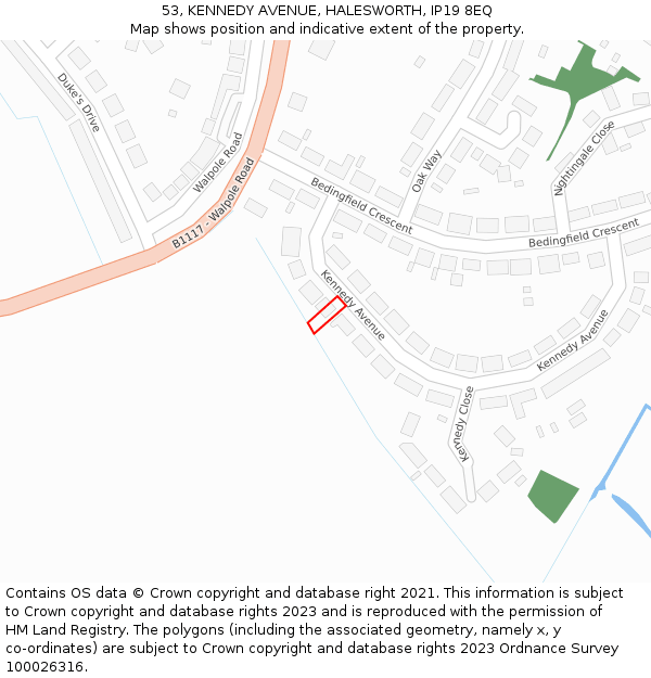 53, KENNEDY AVENUE, HALESWORTH, IP19 8EQ: Location map and indicative extent of plot