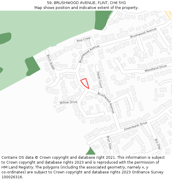 59, BRUSHWOOD AVENUE, FLINT, CH6 5YG: Location map and indicative extent of plot