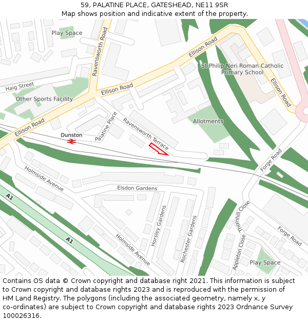 59, PALATINE PLACE, GATESHEAD, NE11 9SR: Location map and indicative extent of plot