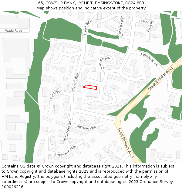 65, COWSLIP BANK, LYCHPIT, BASINGSTOKE, RG24 8RR: Location map and indicative extent of plot