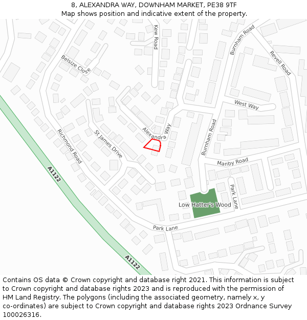 8, ALEXANDRA WAY, DOWNHAM MARKET, PE38 9TF: Location map and indicative extent of plot