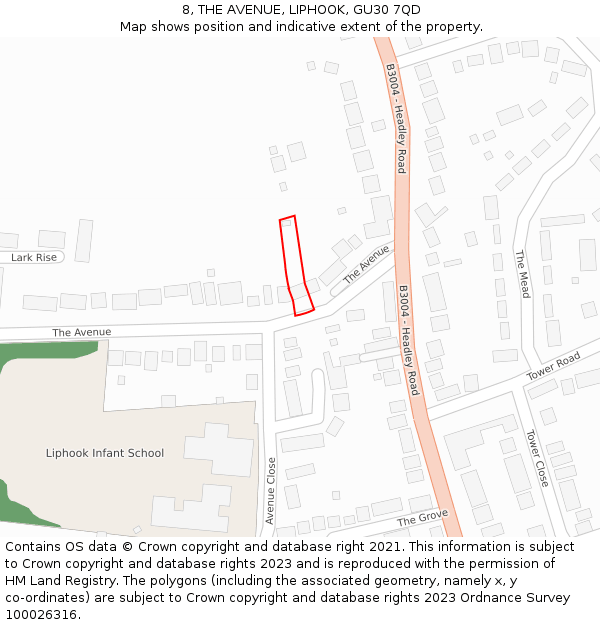 8, THE AVENUE, LIPHOOK, GU30 7QD: Location map and indicative extent of plot