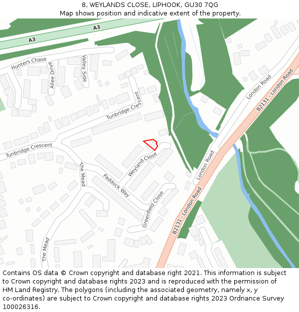 8, WEYLANDS CLOSE, LIPHOOK, GU30 7QG: Location map and indicative extent of plot