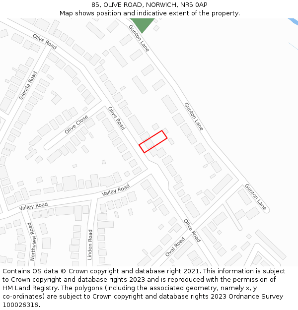 85, OLIVE ROAD, NORWICH, NR5 0AP: Location map and indicative extent of plot