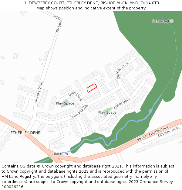 1, DEWBERRY COURT, ETHERLEY DENE, BISHOP AUCKLAND, DL14 0TR: Location map and indicative extent of plot