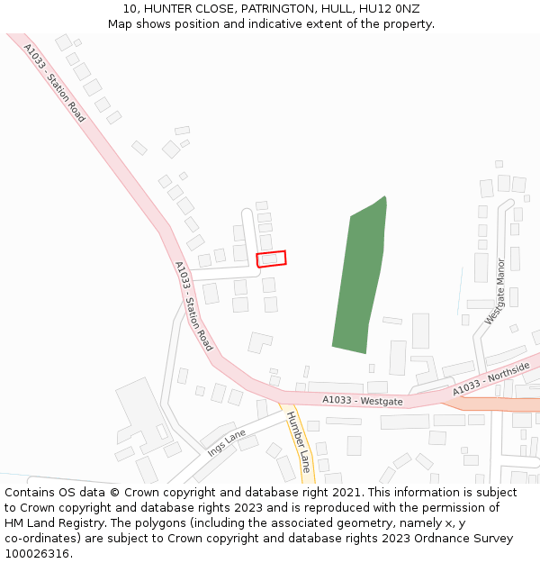 10, HUNTER CLOSE, PATRINGTON, HULL, HU12 0NZ: Location map and indicative extent of plot