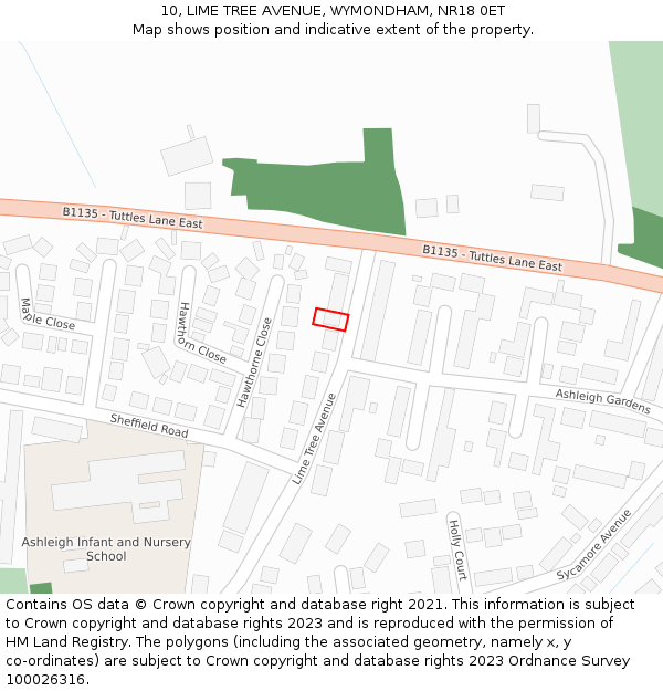 10, LIME TREE AVENUE, WYMONDHAM, NR18 0ET: Location map and indicative extent of plot