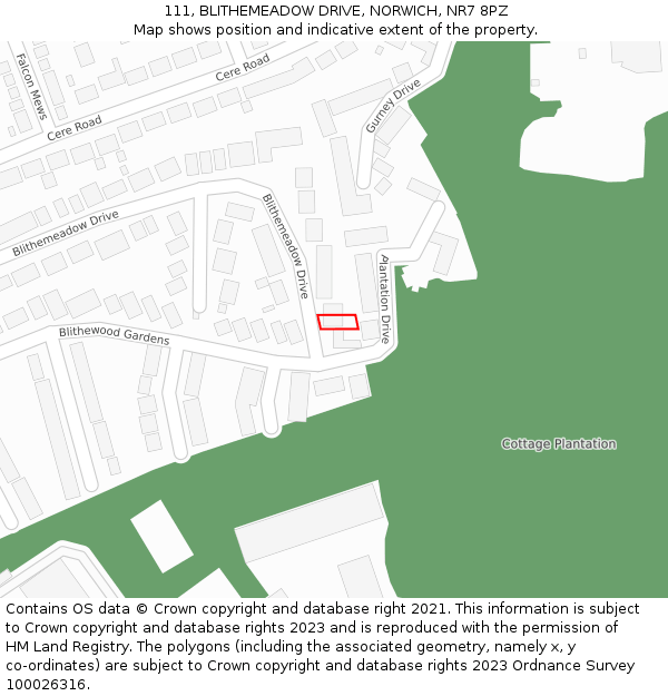 111, BLITHEMEADOW DRIVE, NORWICH, NR7 8PZ: Location map and indicative extent of plot