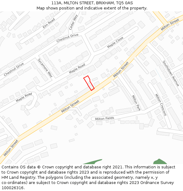 113A, MILTON STREET, BRIXHAM, TQ5 0AS: Location map and indicative extent of plot