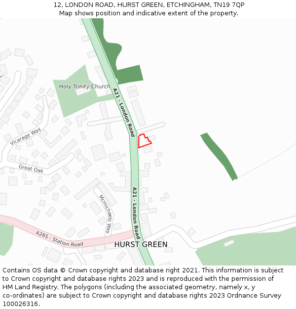 12, LONDON ROAD, HURST GREEN, ETCHINGHAM, TN19 7QP: Location map and indicative extent of plot