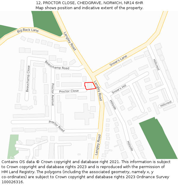 12, PROCTOR CLOSE, CHEDGRAVE, NORWICH, NR14 6HR: Location map and indicative extent of plot