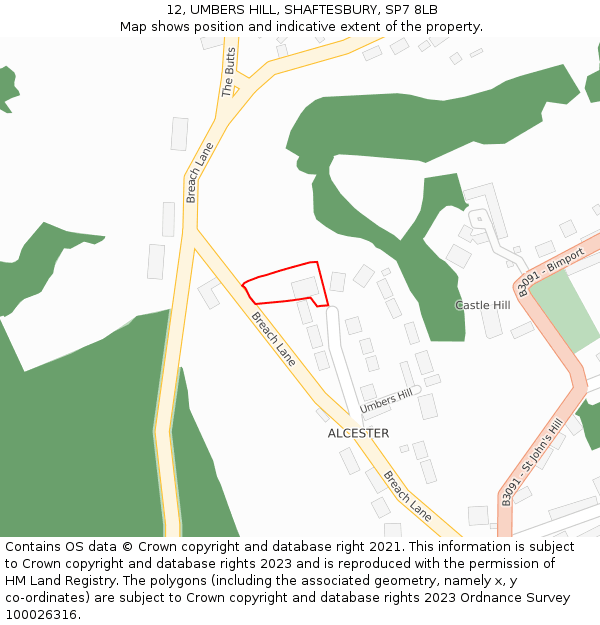 12, UMBERS HILL, SHAFTESBURY, SP7 8LB: Location map and indicative extent of plot