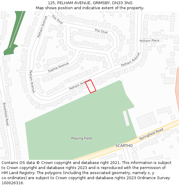 125, PELHAM AVENUE, GRIMSBY, DN33 3NG: Location map and indicative extent of plot