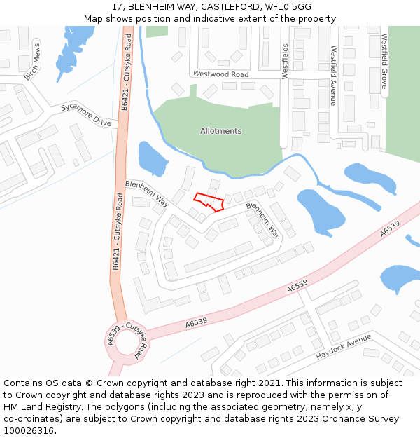 17, BLENHEIM WAY, CASTLEFORD, WF10 5GG: Location map and indicative extent of plot