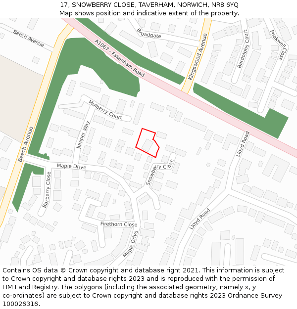 17, SNOWBERRY CLOSE, TAVERHAM, NORWICH, NR8 6YQ: Location map and indicative extent of plot