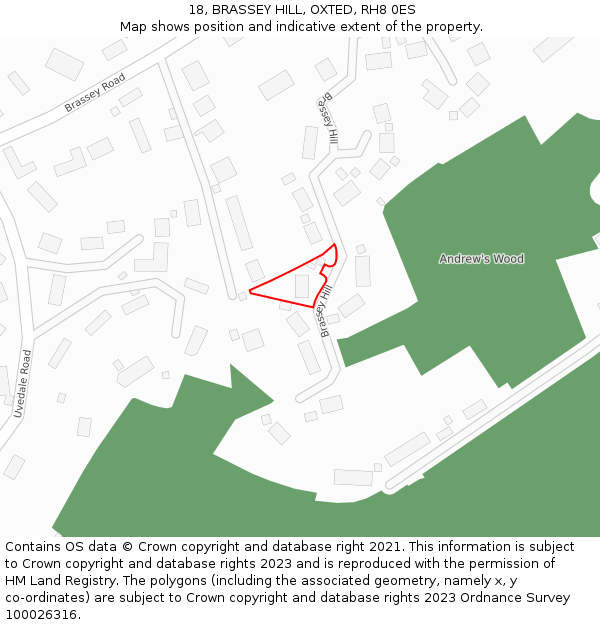 18, BRASSEY HILL, OXTED, RH8 0ES: Location map and indicative extent of plot