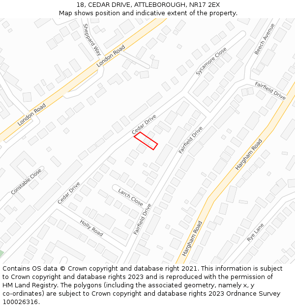 18, CEDAR DRIVE, ATTLEBOROUGH, NR17 2EX: Location map and indicative extent of plot