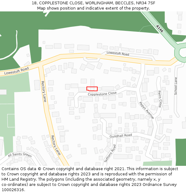 18, COPPLESTONE CLOSE, WORLINGHAM, BECCLES, NR34 7SF: Location map and indicative extent of plot