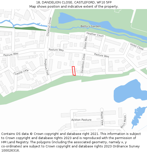 18, DANDELION CLOSE, CASTLEFORD, WF10 5FP: Location map and indicative extent of plot