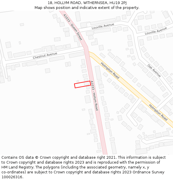 18, HOLLYM ROAD, WITHERNSEA, HU19 2PJ: Location map and indicative extent of plot