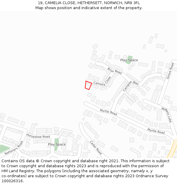 19, CAMELIA CLOSE, HETHERSETT, NORWICH, NR9 3FL: Location map and indicative extent of plot