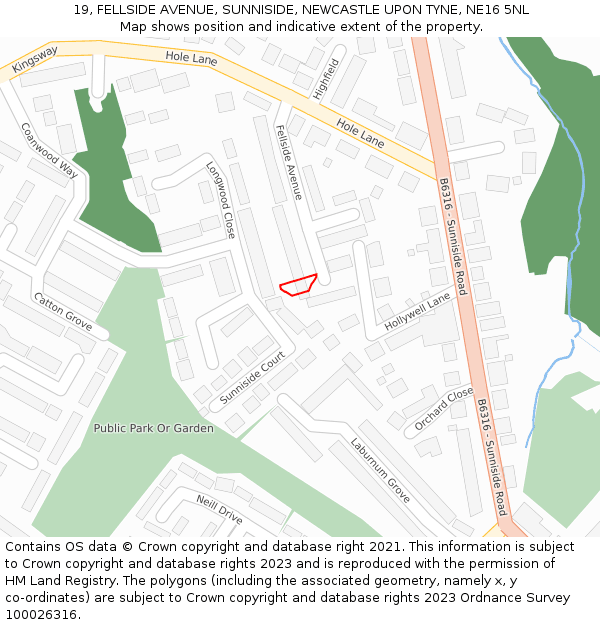 19, FELLSIDE AVENUE, SUNNISIDE, NEWCASTLE UPON TYNE, NE16 5NL: Location map and indicative extent of plot