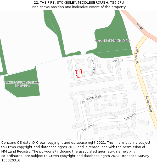 22, THE FIRS, STOKESLEY, MIDDLESBROUGH, TS9 5FU: Location map and indicative extent of plot