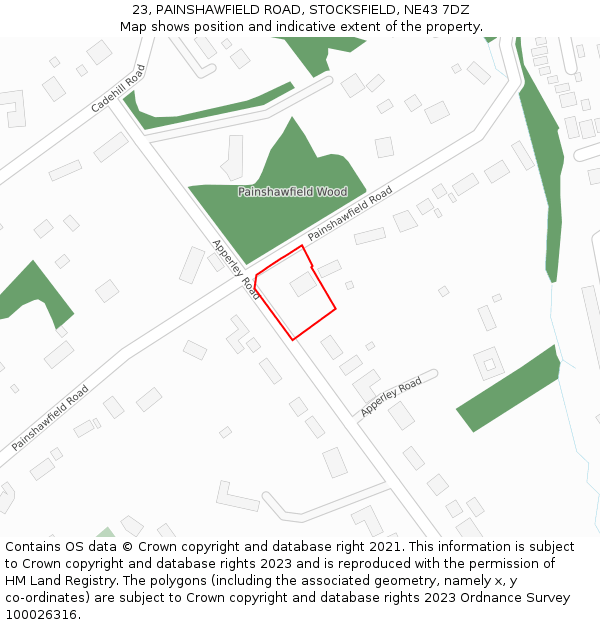 23, PAINSHAWFIELD ROAD, STOCKSFIELD, NE43 7DZ: Location map and indicative extent of plot