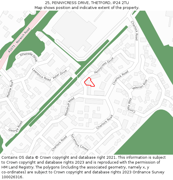 25, PENNYCRESS DRIVE, THETFORD, IP24 2TU: Location map and indicative extent of plot