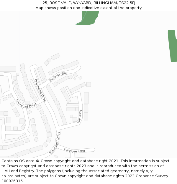 25, ROSE VALE, WYNYARD, BILLINGHAM, TS22 5FJ: Location map and indicative extent of plot