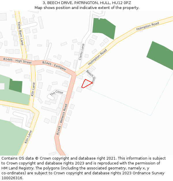 3, BEECH DRIVE, PATRINGTON, HULL, HU12 0PZ: Location map and indicative extent of plot