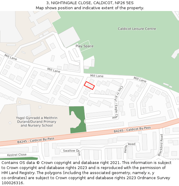 3, NIGHTINGALE CLOSE, CALDICOT, NP26 5ES: Location map and indicative extent of plot