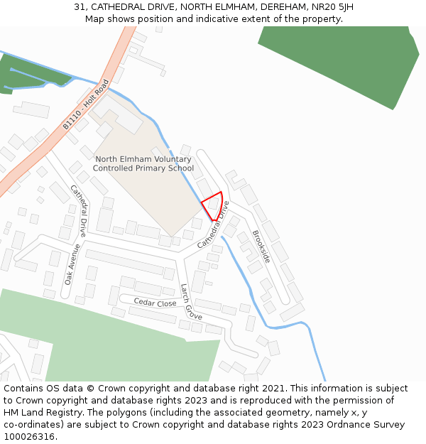 31, CATHEDRAL DRIVE, NORTH ELMHAM, DEREHAM, NR20 5JH: Location map and indicative extent of plot