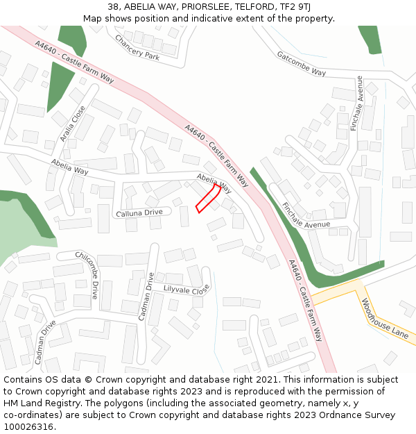 38, ABELIA WAY, PRIORSLEE, TELFORD, TF2 9TJ: Location map and indicative extent of plot