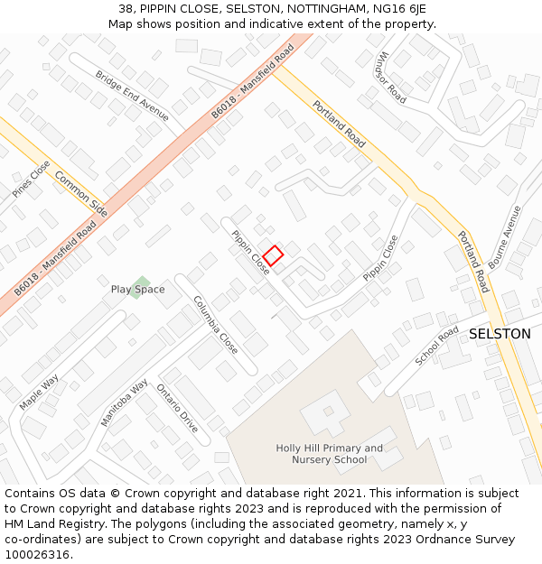 38, PIPPIN CLOSE, SELSTON, NOTTINGHAM, NG16 6JE: Location map and indicative extent of plot