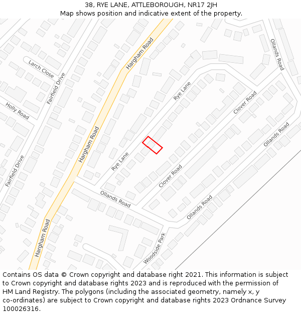 38, RYE LANE, ATTLEBOROUGH, NR17 2JH: Location map and indicative extent of plot