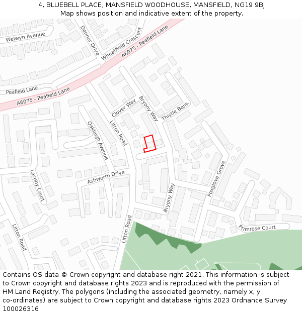 4, BLUEBELL PLACE, MANSFIELD WOODHOUSE, MANSFIELD, NG19 9BJ: Location map and indicative extent of plot