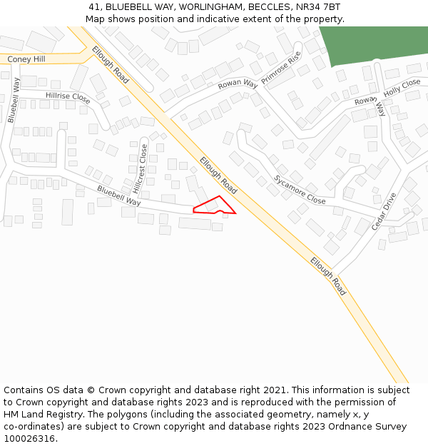 41, BLUEBELL WAY, WORLINGHAM, BECCLES, NR34 7BT: Location map and indicative extent of plot