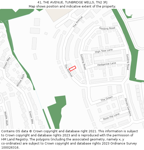 41, THE AVENUE, TUNBRIDGE WELLS, TN2 3FJ: Location map and indicative extent of plot