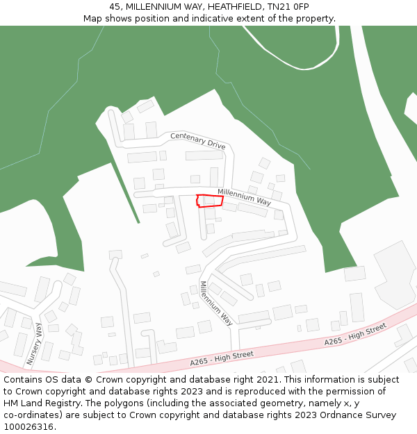 45, MILLENNIUM WAY, HEATHFIELD, TN21 0FP: Location map and indicative extent of plot