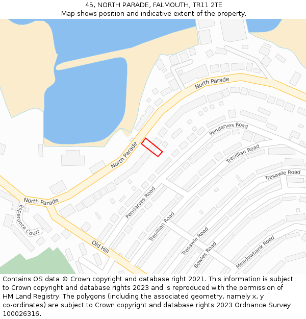 45, NORTH PARADE, FALMOUTH, TR11 2TE: Location map and indicative extent of plot