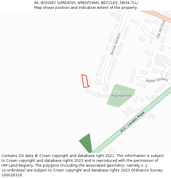 46, BONSEY GARDENS, WRENTHAM, BECCLES, NR34 7LU: Location map and indicative extent of plot