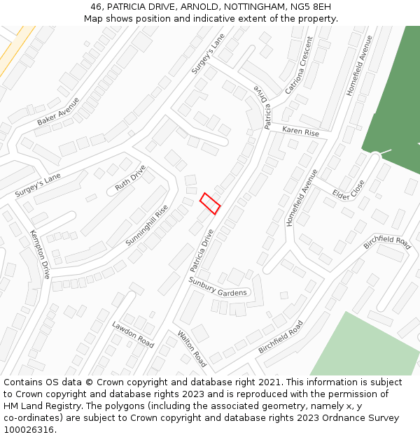 46, PATRICIA DRIVE, ARNOLD, NOTTINGHAM, NG5 8EH: Location map and indicative extent of plot