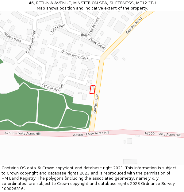 46, PETUNIA AVENUE, MINSTER ON SEA, SHEERNESS, ME12 3TU: Location map and indicative extent of plot