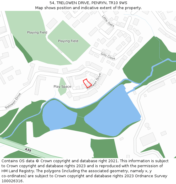 54, TRELOWEN DRIVE, PENRYN, TR10 9WS: Location map and indicative extent of plot