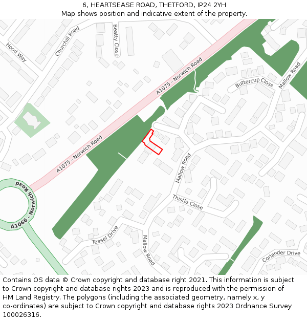 6, HEARTSEASE ROAD, THETFORD, IP24 2YH: Location map and indicative extent of plot