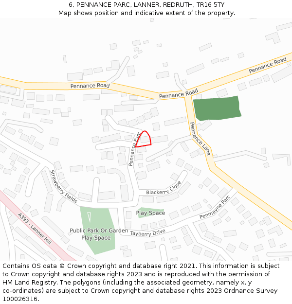 6, PENNANCE PARC, LANNER, REDRUTH, TR16 5TY: Location map and indicative extent of plot