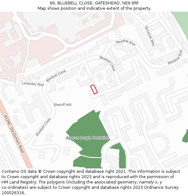 66, BLUEBELL CLOSE, GATESHEAD, NE9 6RF: Location map and indicative extent of plot