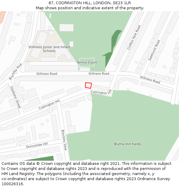 87, CODRINGTON HILL, LONDON, SE23 1LR: Location map and indicative extent of plot